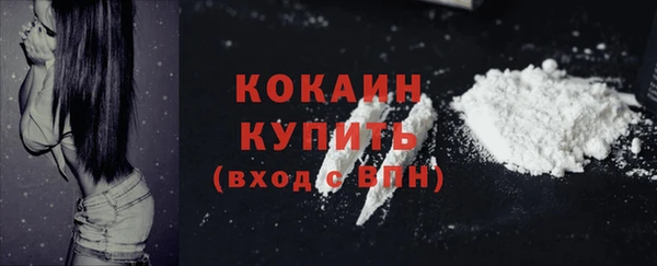 дживик Медвежьегорск