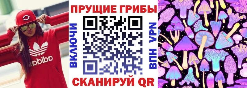 blacksprut как войти  даркнет сайт  Злынка  Псилоцибиновые грибы мухоморы 